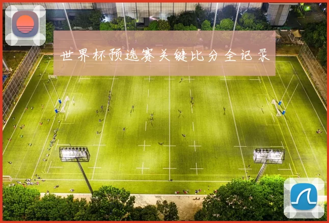 世界杯预选赛关键比分全记录