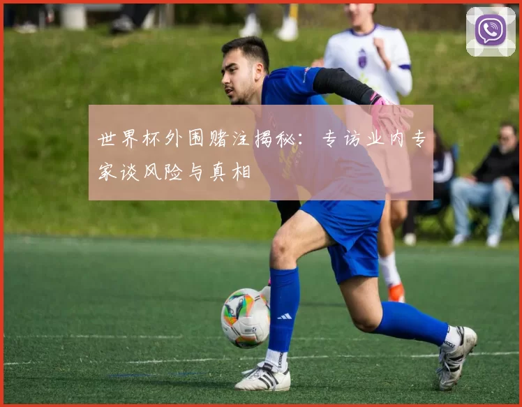 世界杯外围赌注揭秘：专访业内专家谈风险与真相