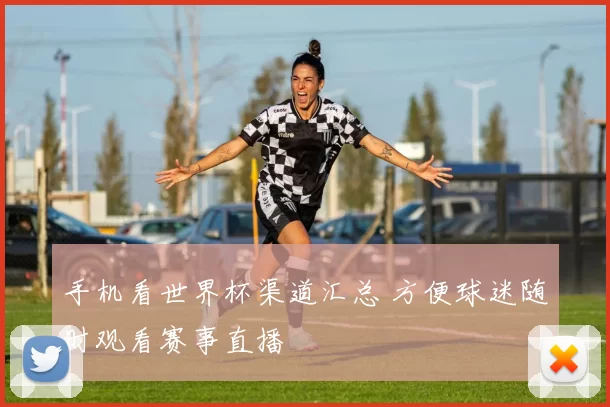 手机看世界杯渠道汇总 方便球迷随时观看赛事直播