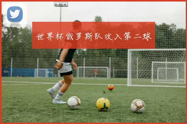 世界杯俄罗斯队攻入第二球