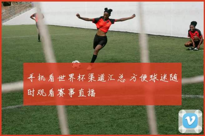 手机看世界杯渠道汇总 方便球迷随时观看赛事直播