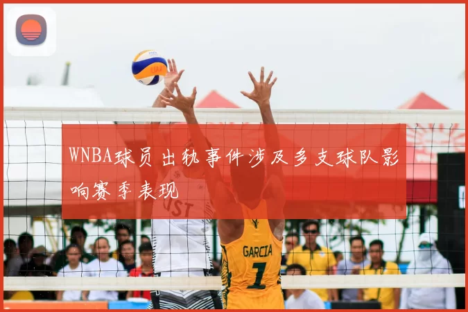 WNBA球员出轨事件涉及多支球队影响赛季表现