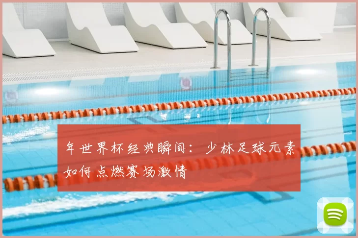 年世界杯经典瞬间：少林足球元素如何点燃赛场激情