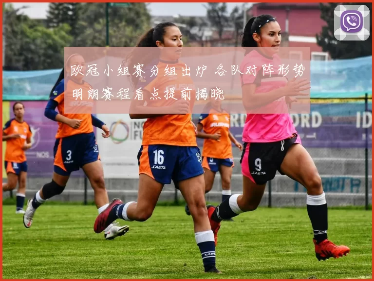 欧冠小组赛分组出炉 各队对阵形势明朗赛程看点提前揭晓