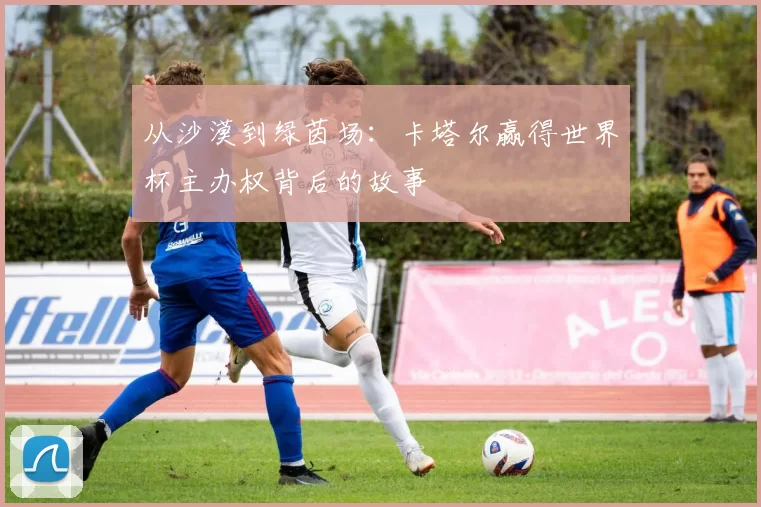 从沙漠到绿茵场：卡塔尔赢得世界杯主办权背后的故事