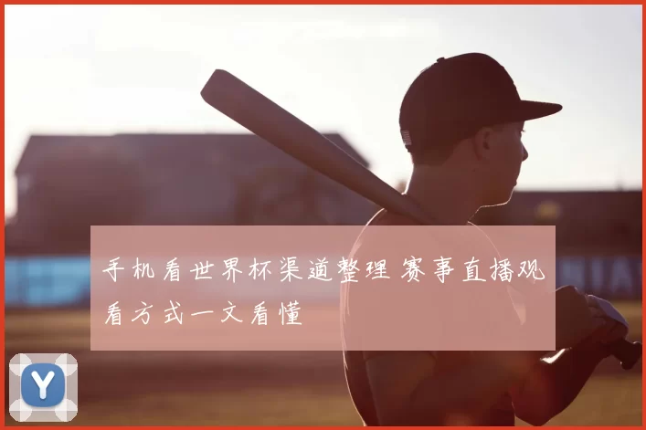 手机看世界杯渠道整理 赛事直播观看方式一文看懂