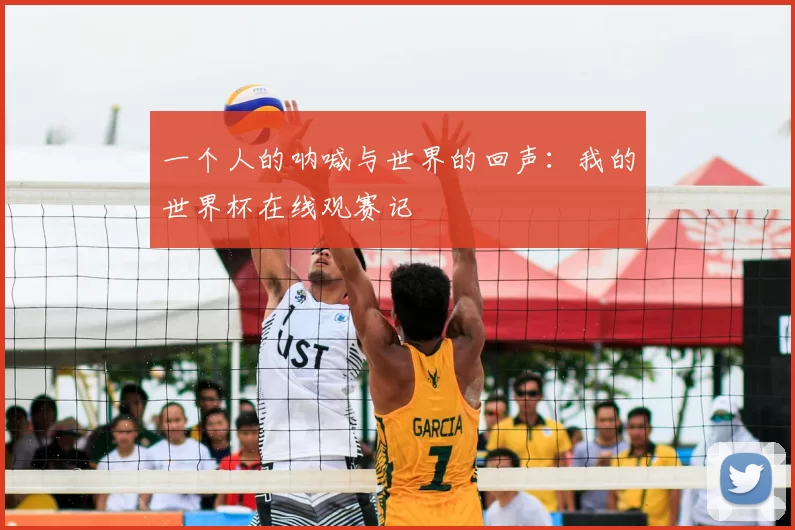 一个人的呐喊与世界的回声：我的世界杯在线观赛记