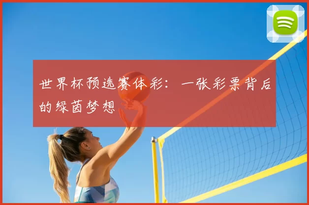 世界杯预选赛体彩：一张彩票背后的绿茵梦想