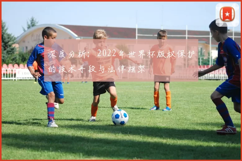 深度分析:2022年世界杯版权保护的技术手段与法律框架